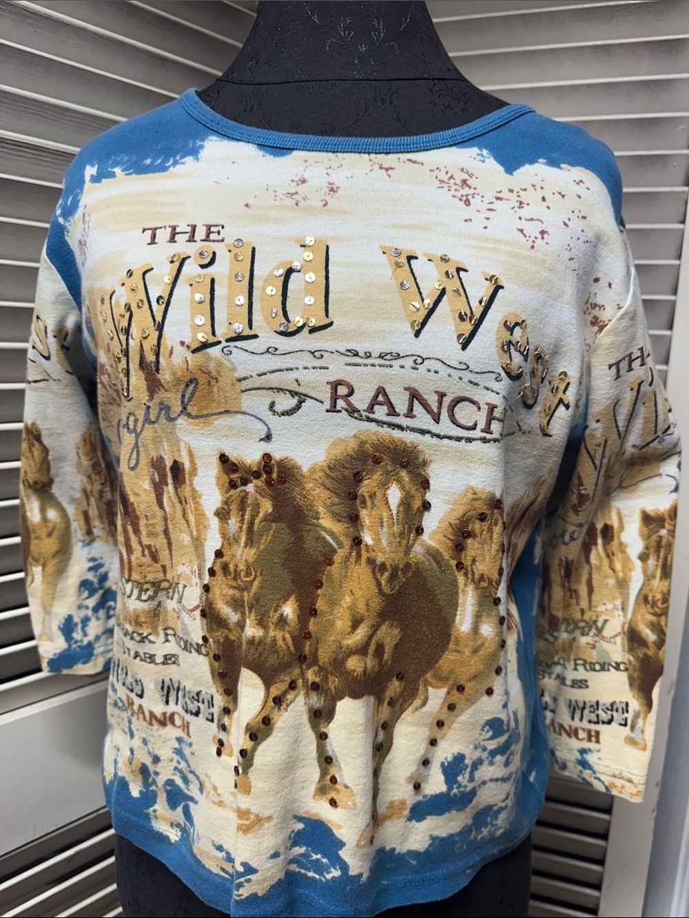 Bit & Bridle Blue and Cream 'Wild West Ranch' Long Sleeve Top